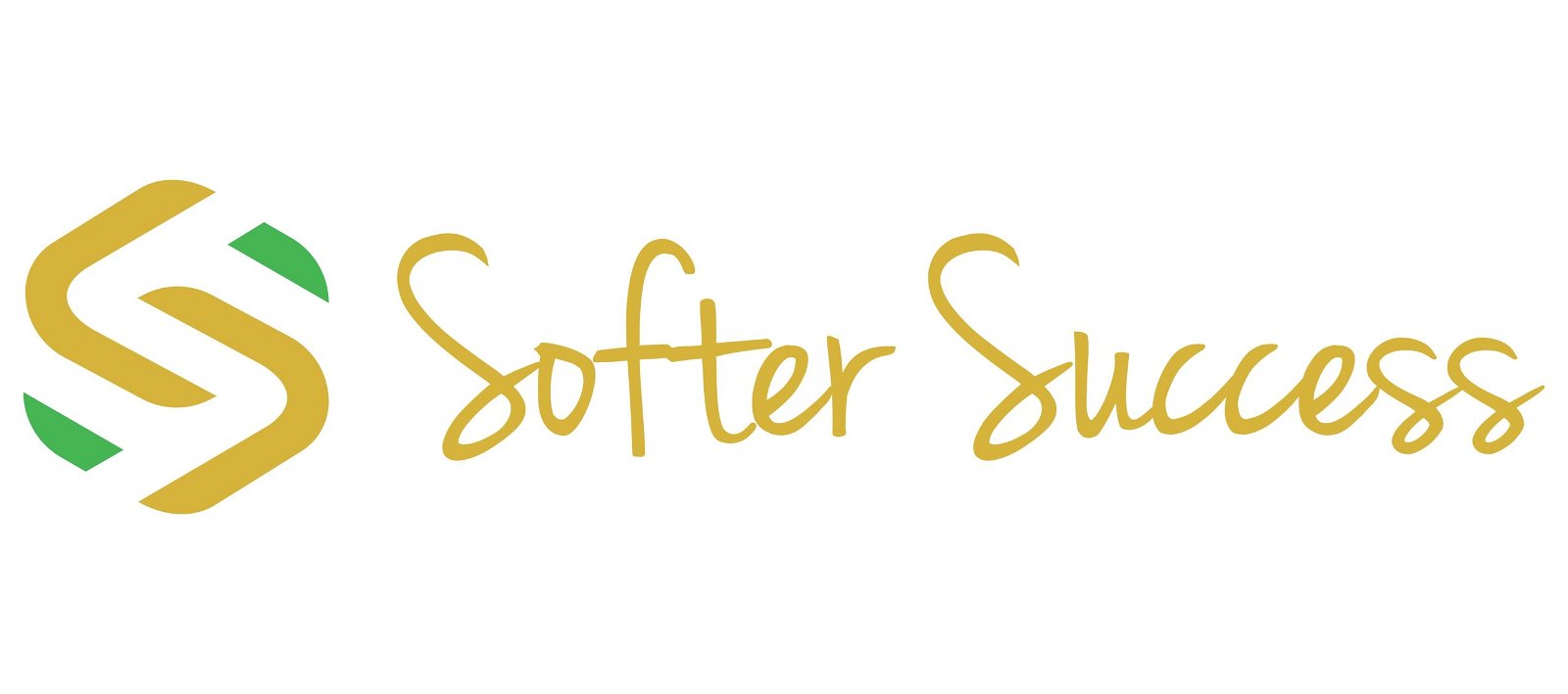 Founder and CEO at Softer Success
