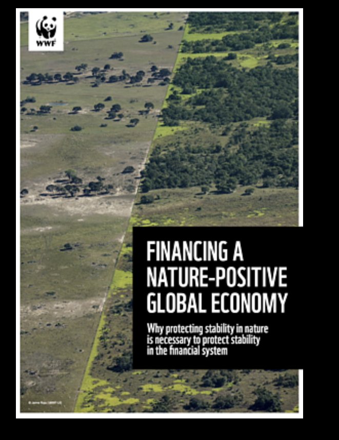 Climate Finance Leadership- Member of WWF Finance Committee