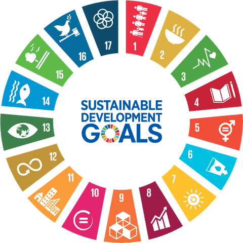 Guided by the United Nations Sustainable Development Goals, I have