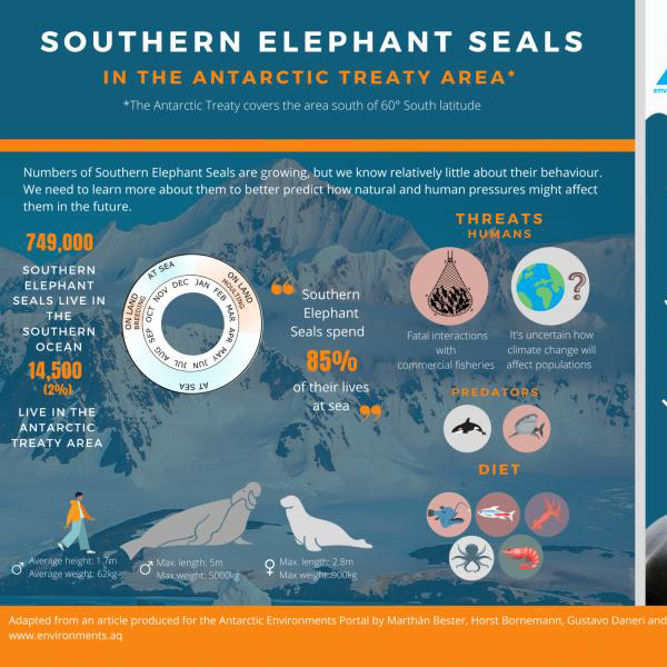 Series of Antarctica infographics