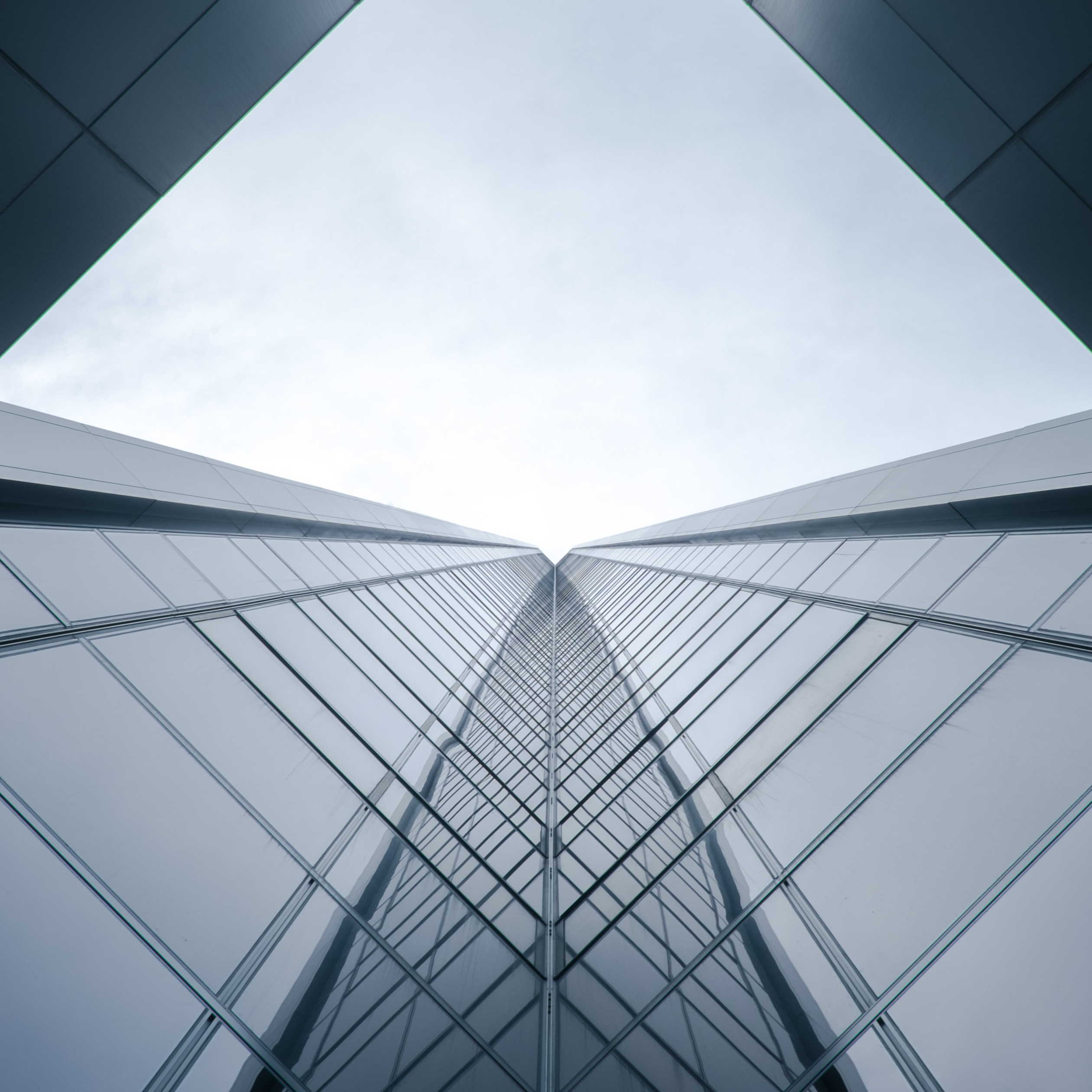 Building The Portfolio Collective