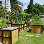 Urban garden in local community with local council