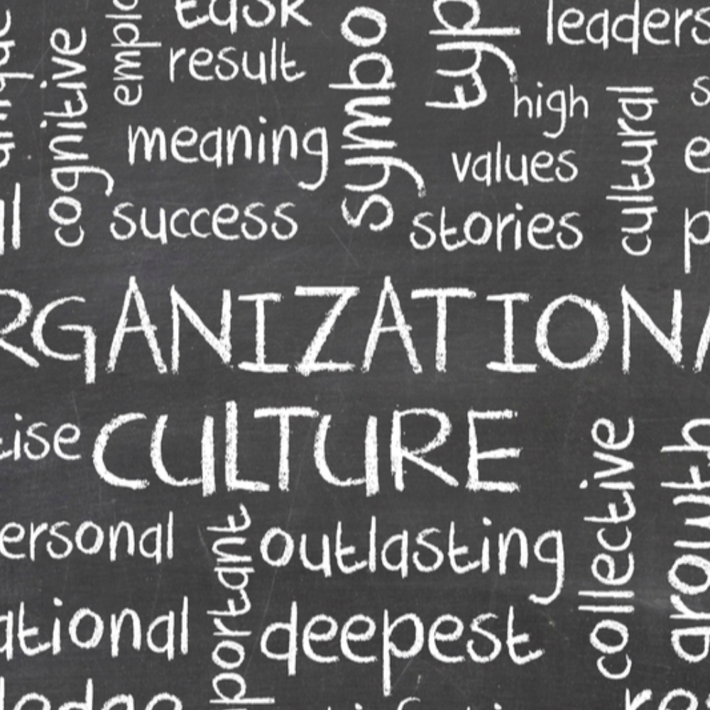 Culture Creation & Integration