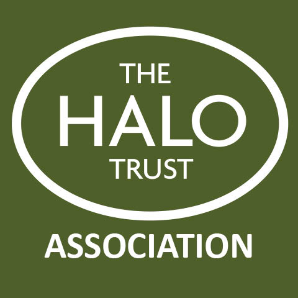 Former Charity Trustee - The HALO Trust & PTSD Resolution