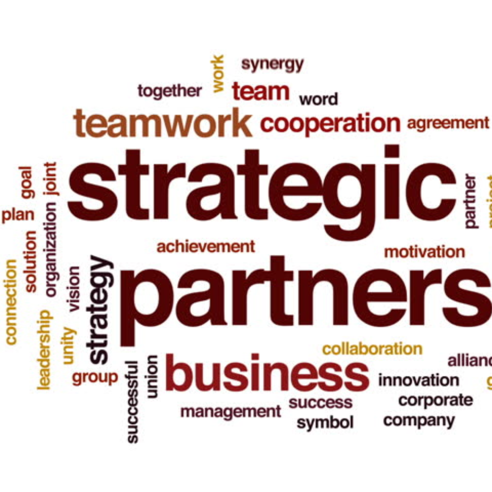 BD and Strategic Partnerships