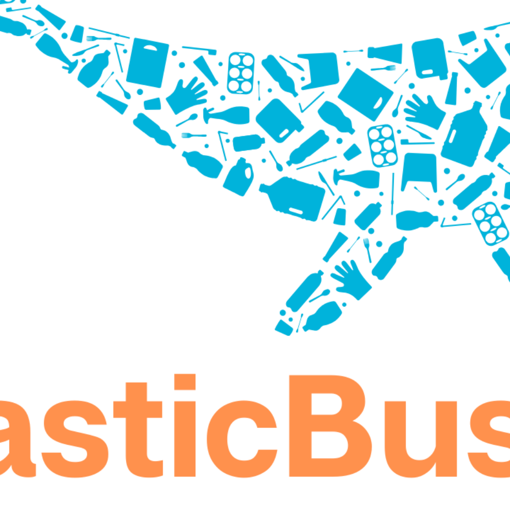 Plastic Busters Project Manager