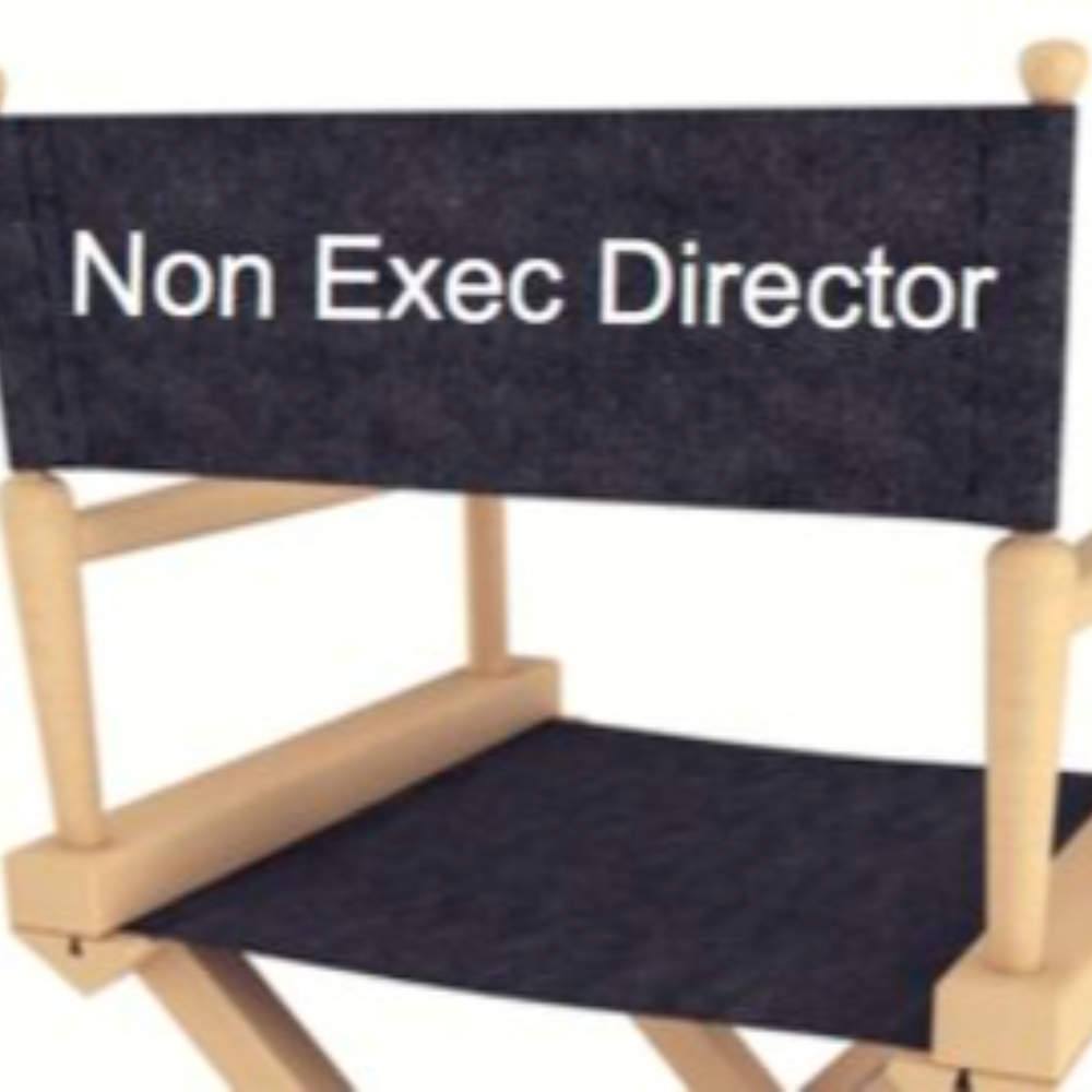 Non-Executive Director/Advisor
