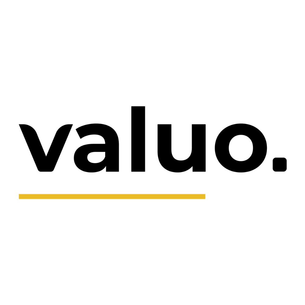 Partner, Valuo Ltd, 2021 to date