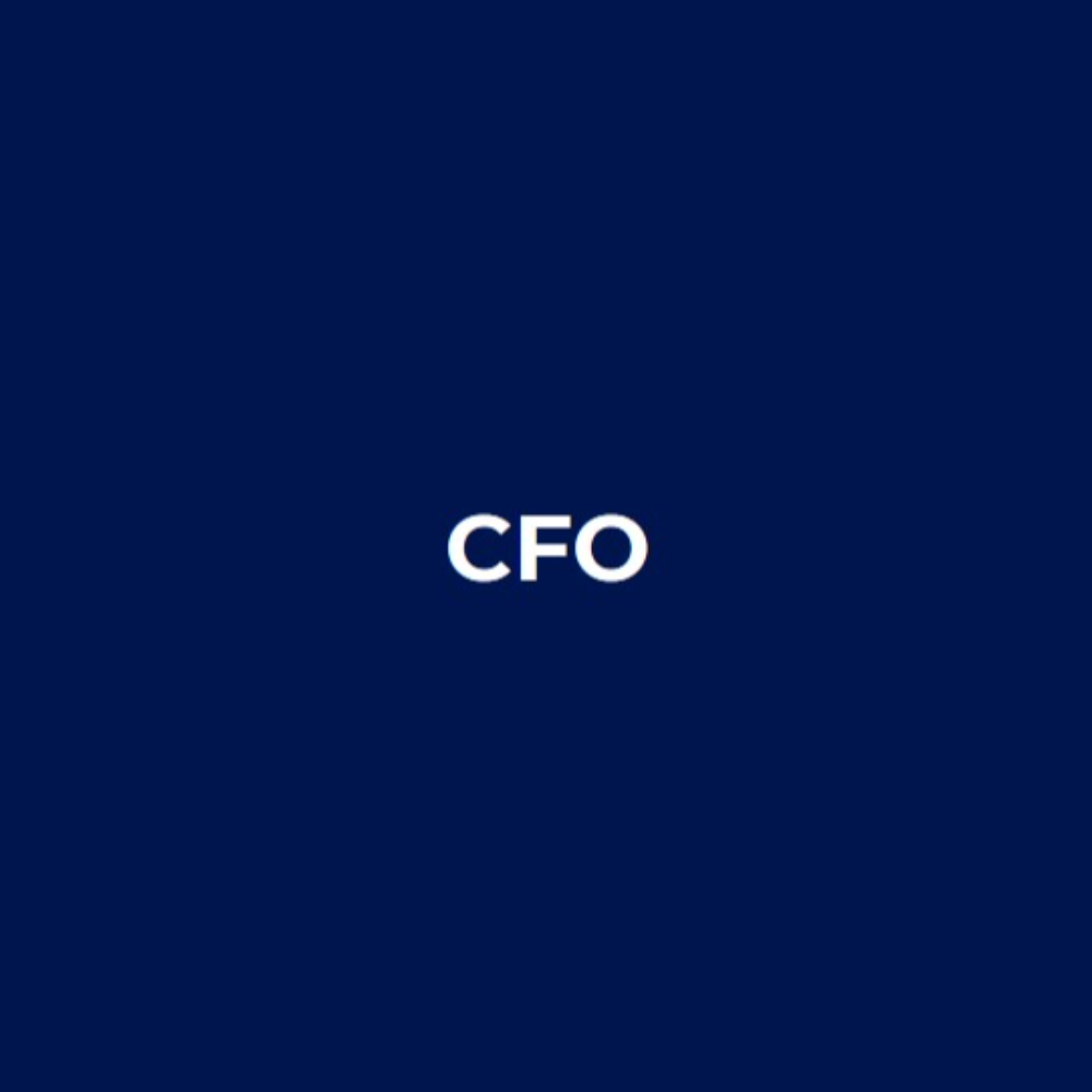 CFO, Crypto-based investment fund, 2017