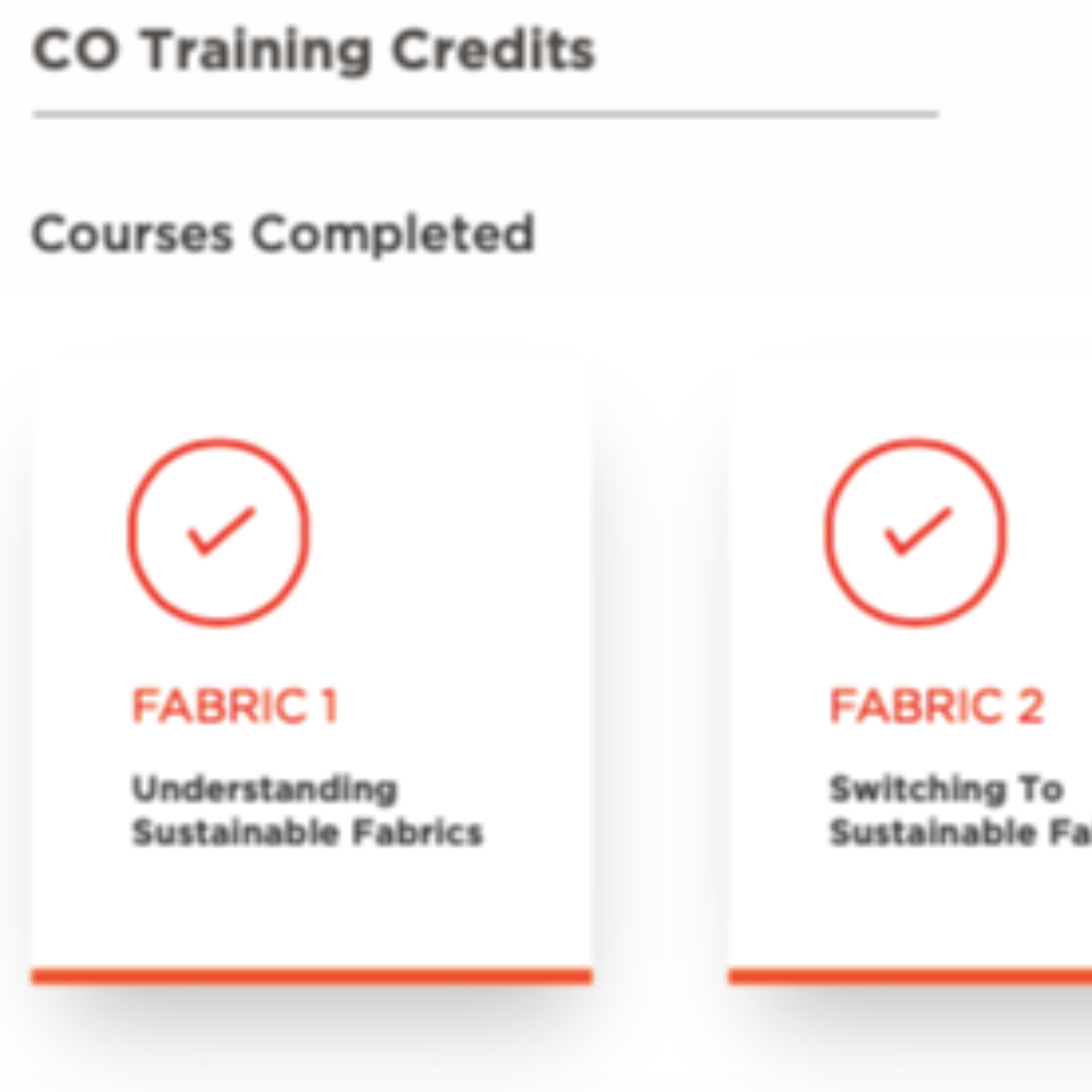 Consultant - CO Training Credits