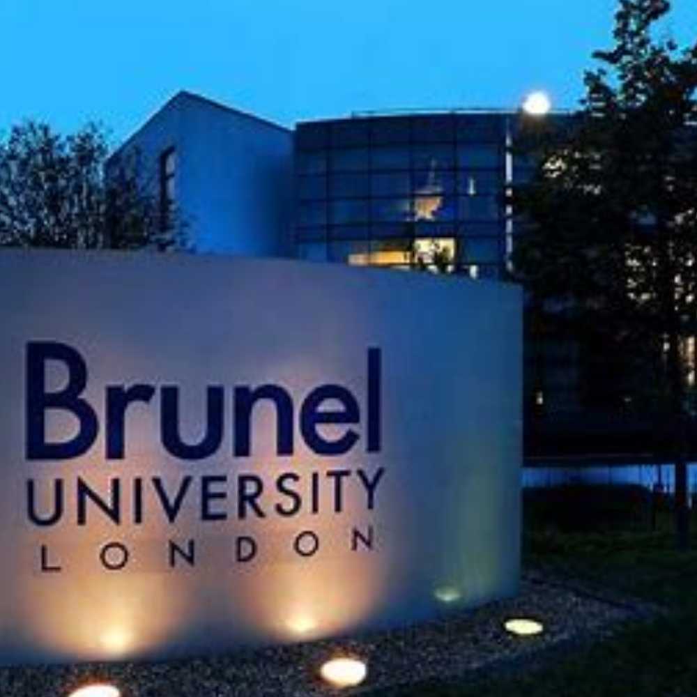 Guest Lecturer at Brunel University