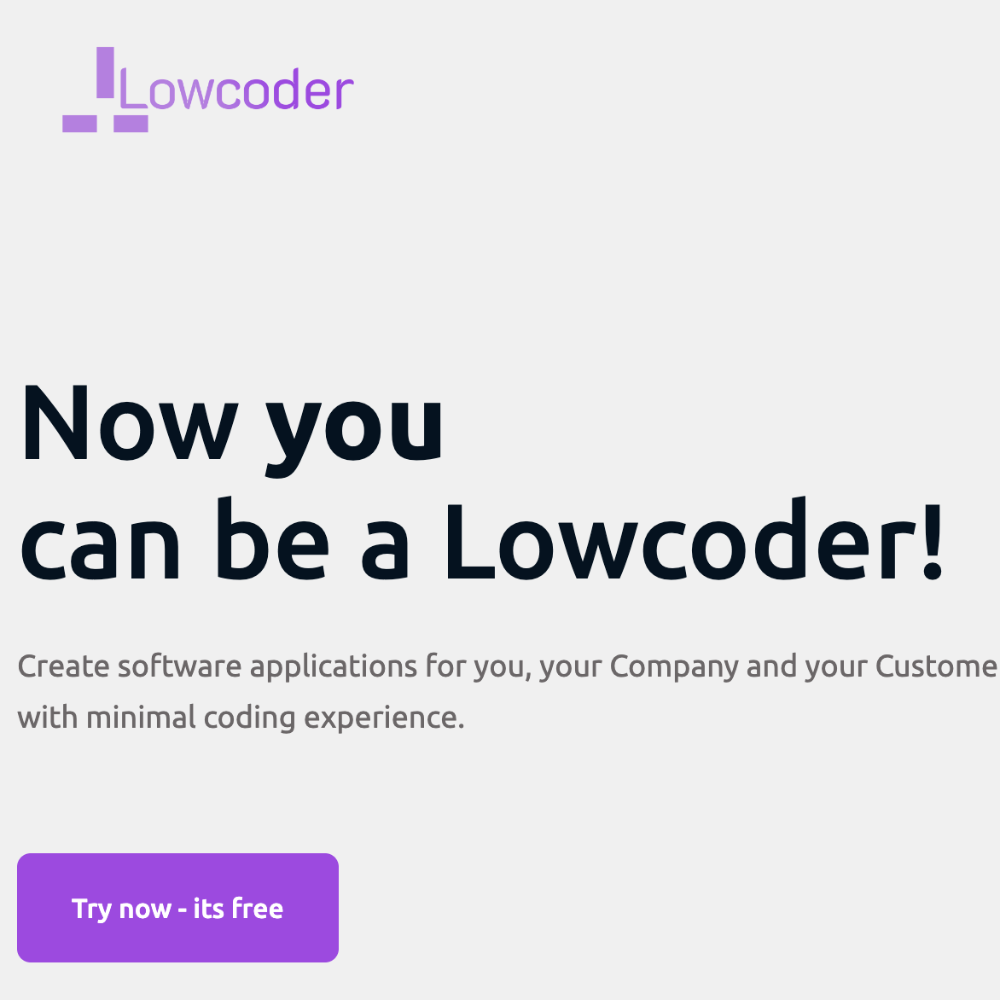 Lowcoder - Cofounder / CFO