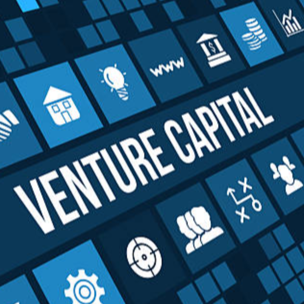 Venture Capital Advisor