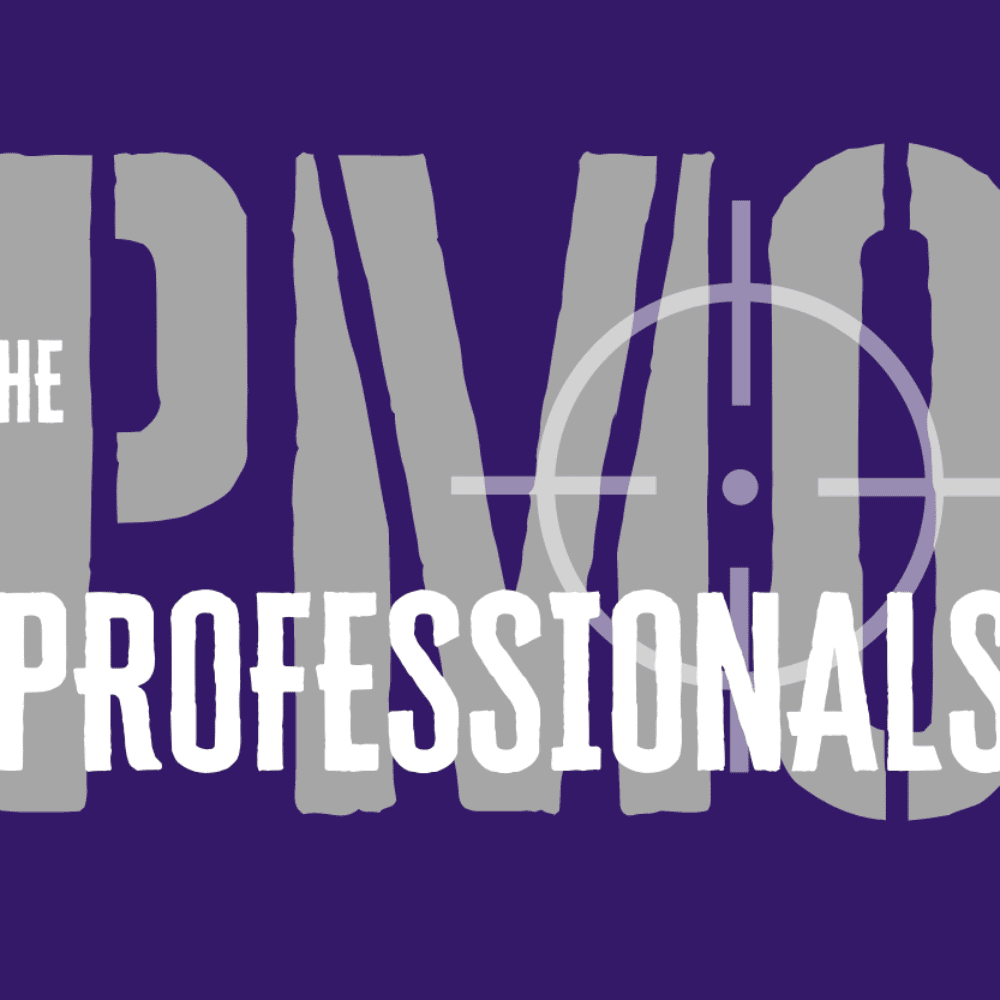 Director, The PMO Professionals