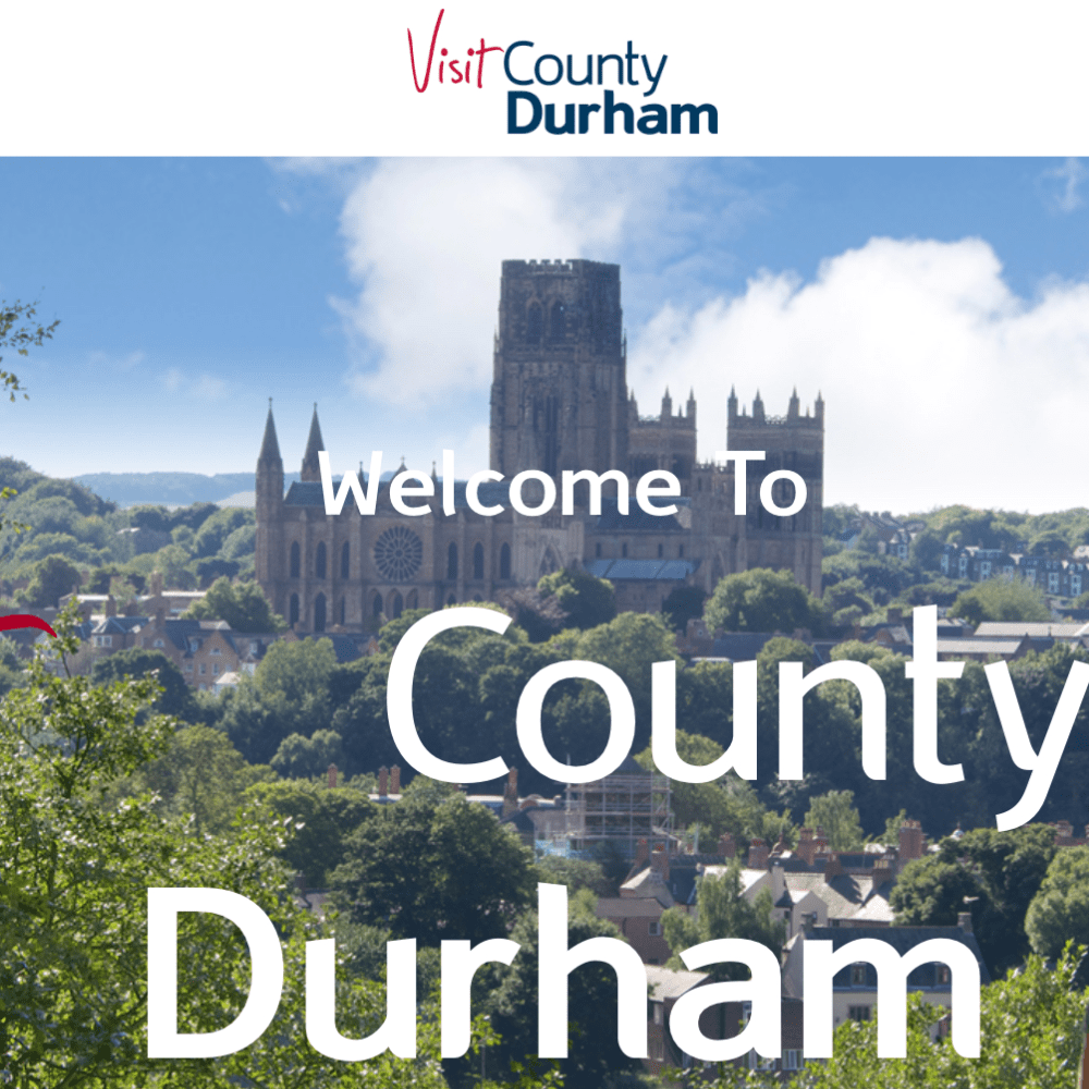 Non Executive Director, Visit County Durham