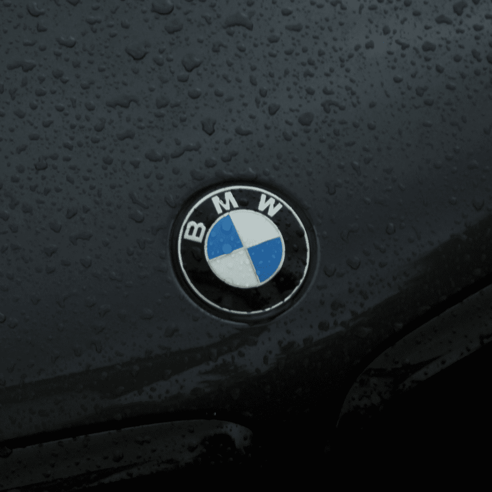 Group Leader: Indirect Purchasing BMW Group