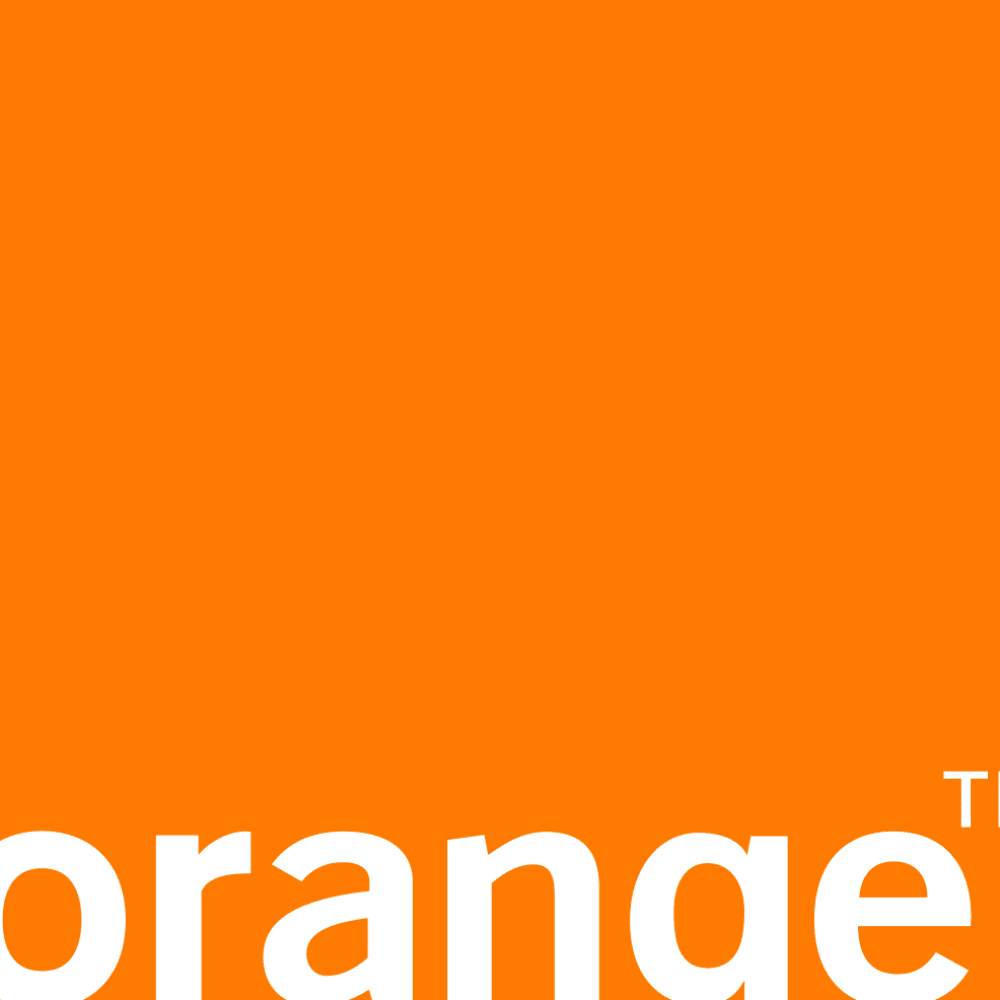 Government & Public Policy Manager, Orange (now EE)