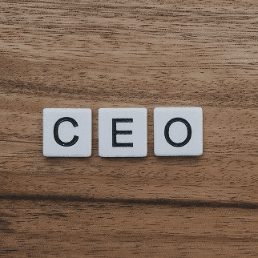 Strategic Leadership – CEO’s and C-Suite