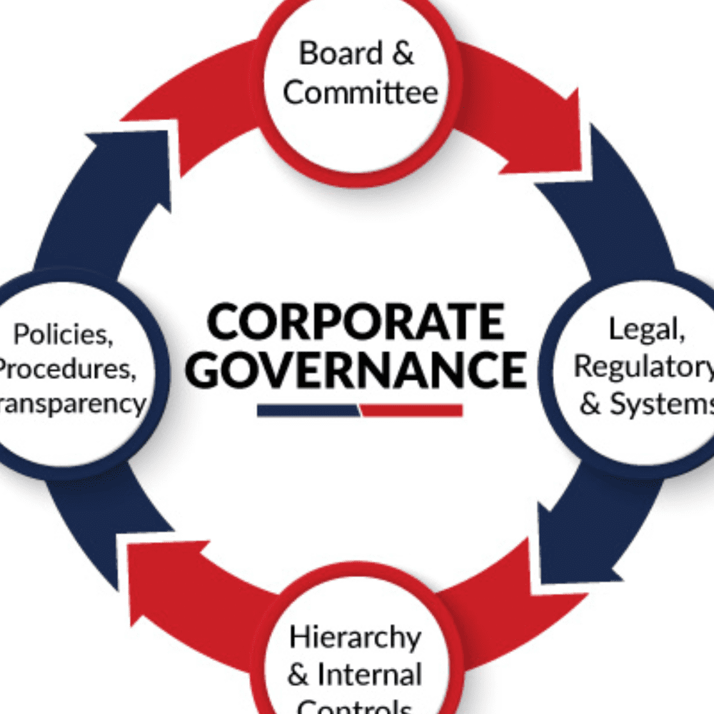 Corporate Governance Support