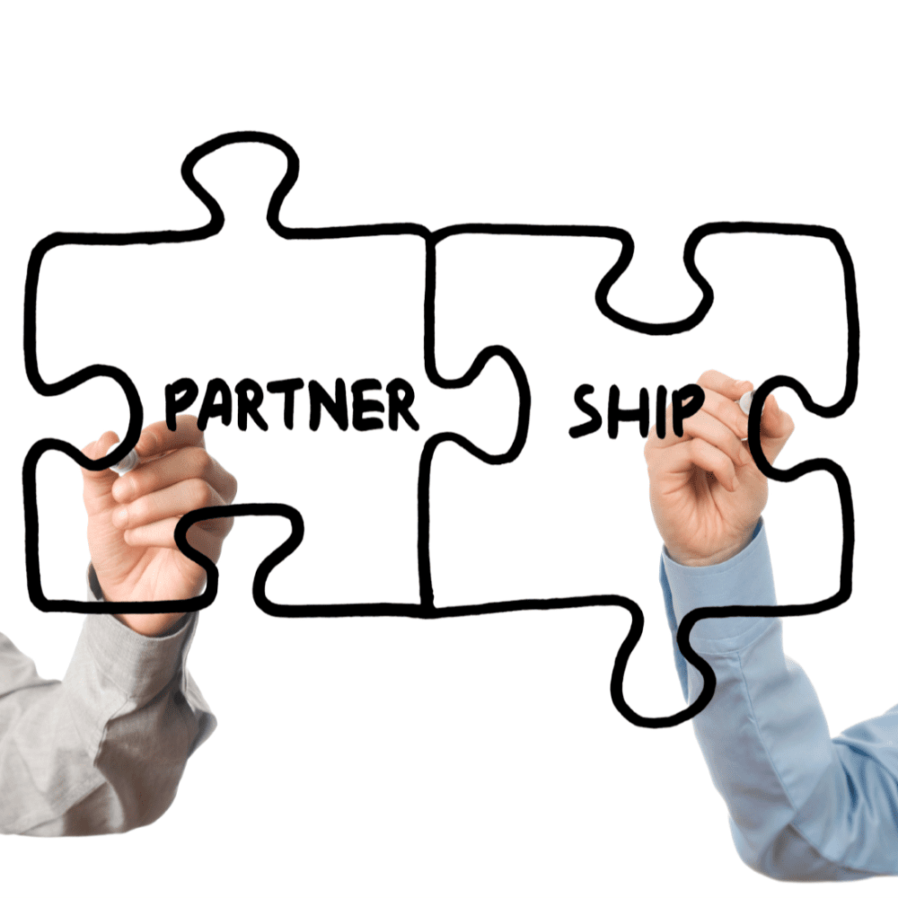 Channel Partner Strategy & Programme Development