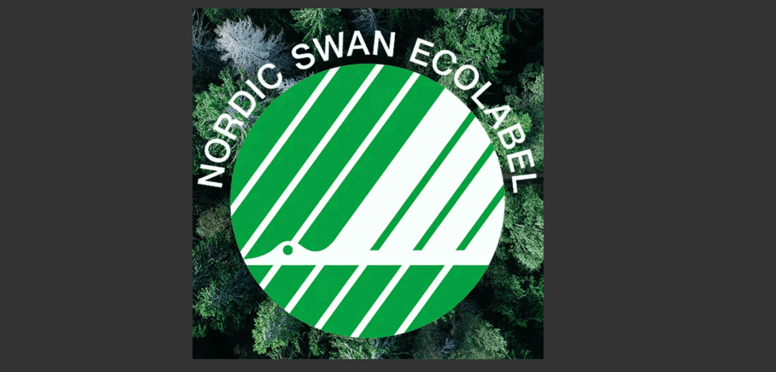 CSDDD update for Social standards for NordicSwan Ecolabel