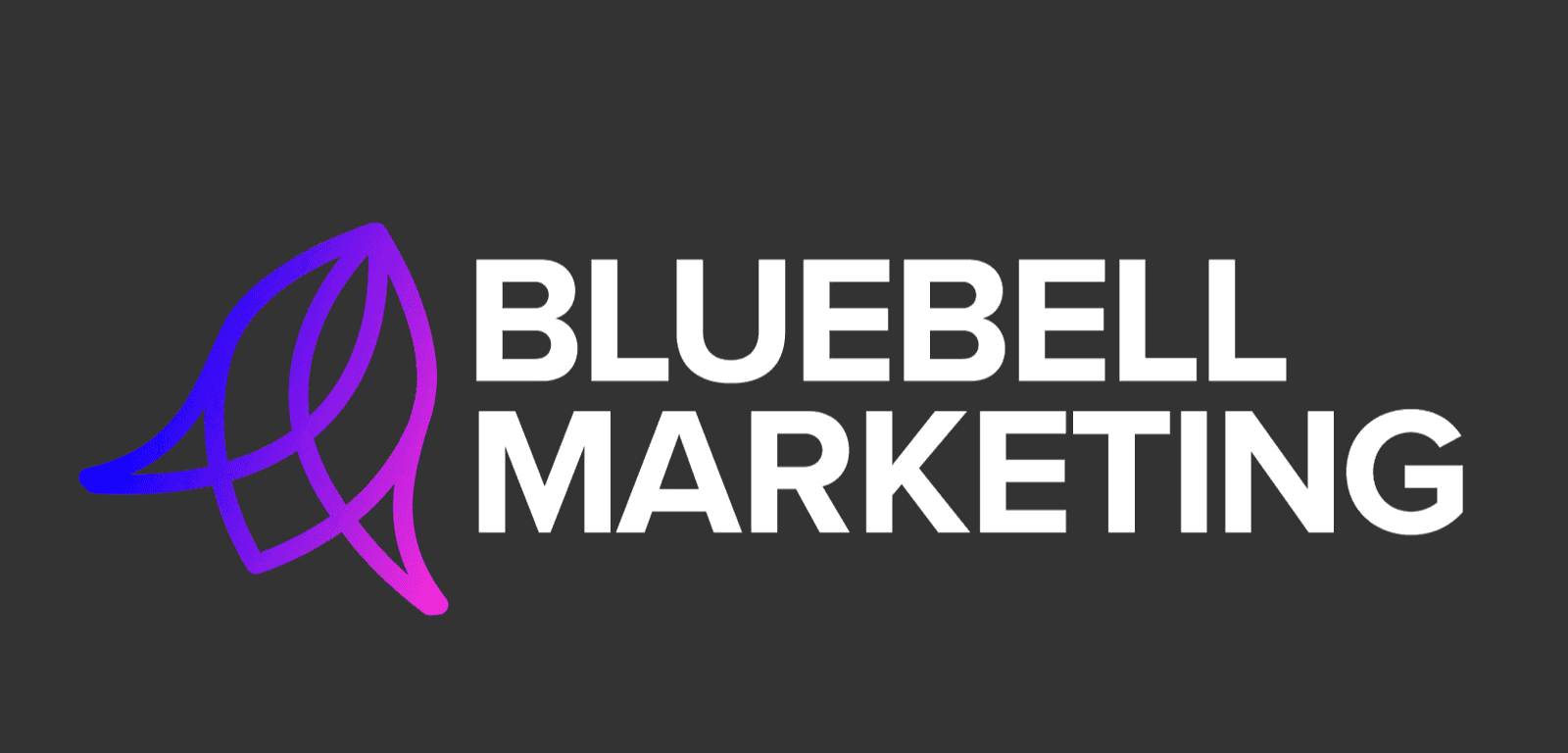 Running a Digital Marketing Consultancy - Bluebell Marketing