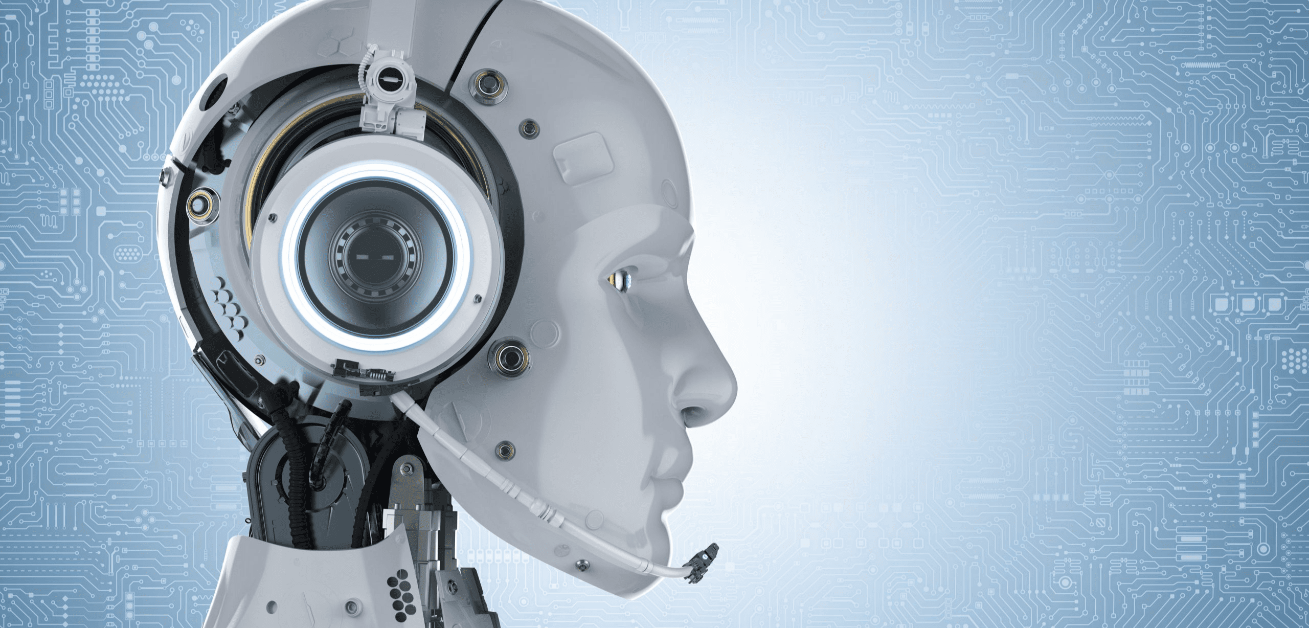 Co-Founder - QuantaLingo A.I.