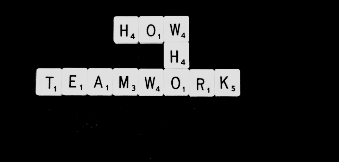 Organisation structure