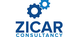 Disruptive SaaS Consultant
