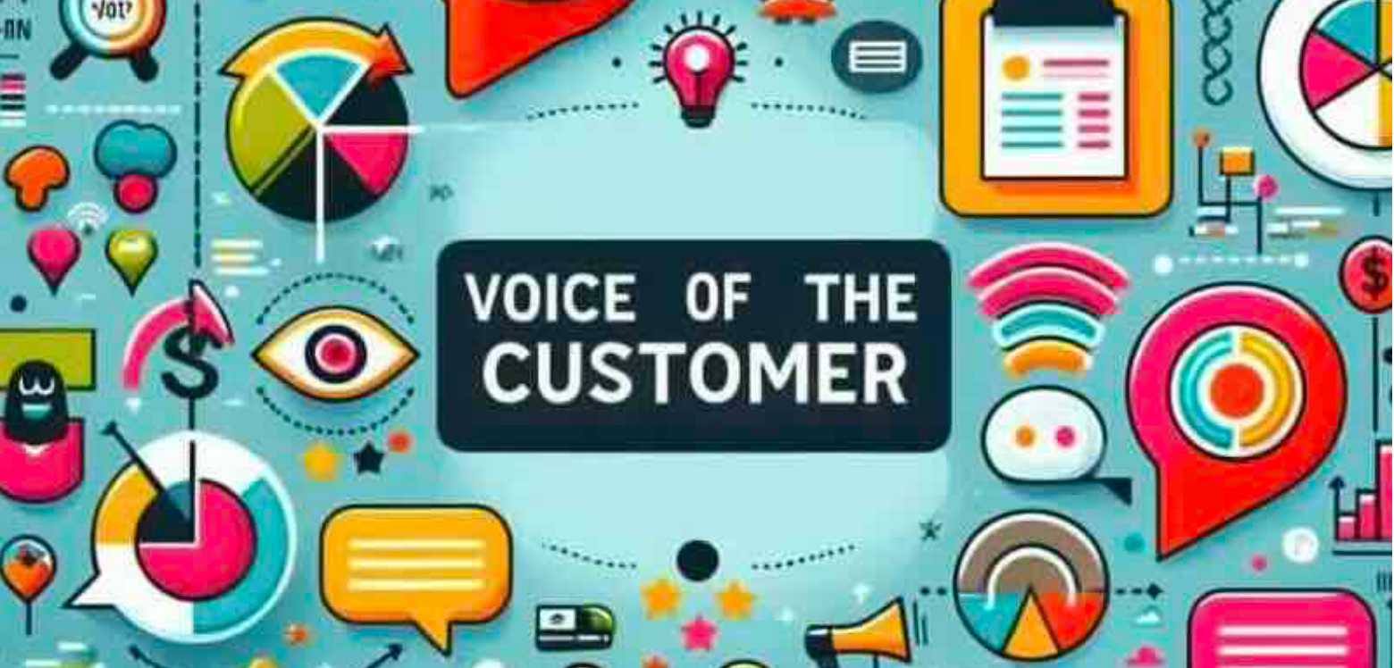 Product Development with Voice of the Customer 