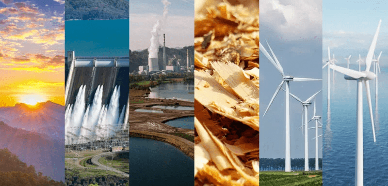 Supporting a scale-up develop a culture for growth