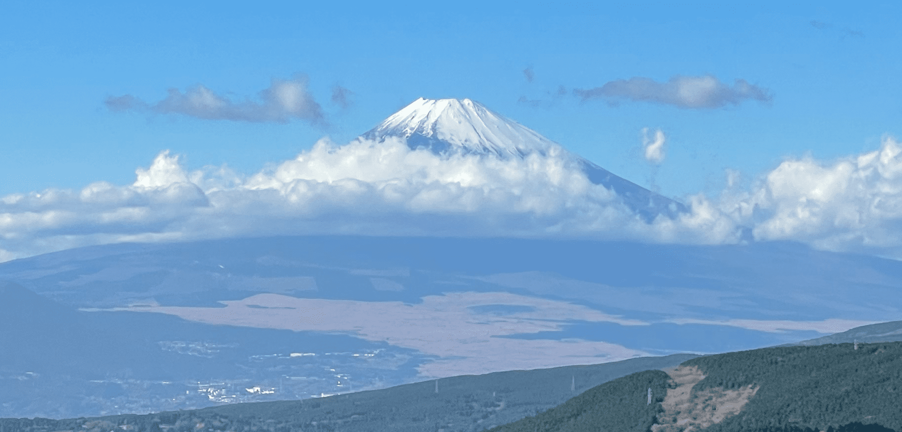 Japan market entry & operations