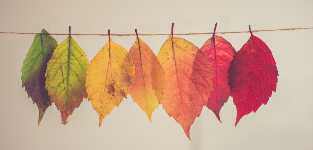 Change Management