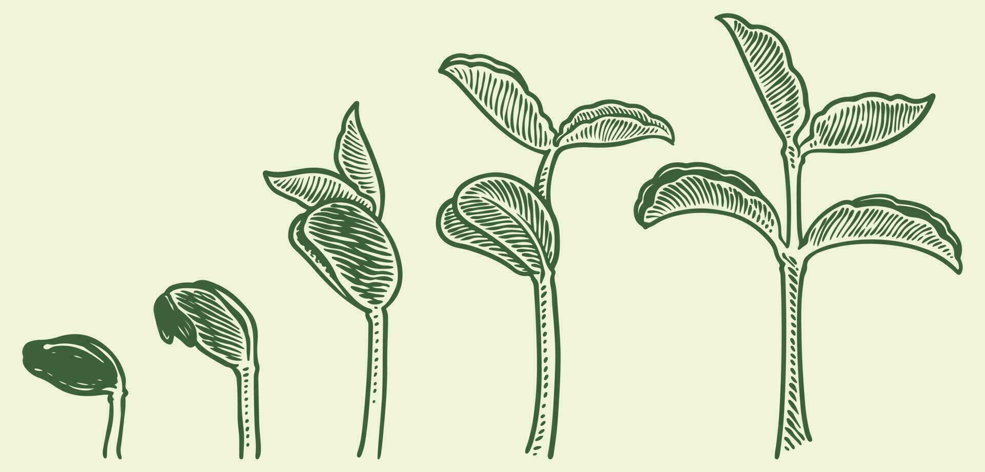 Product Growth