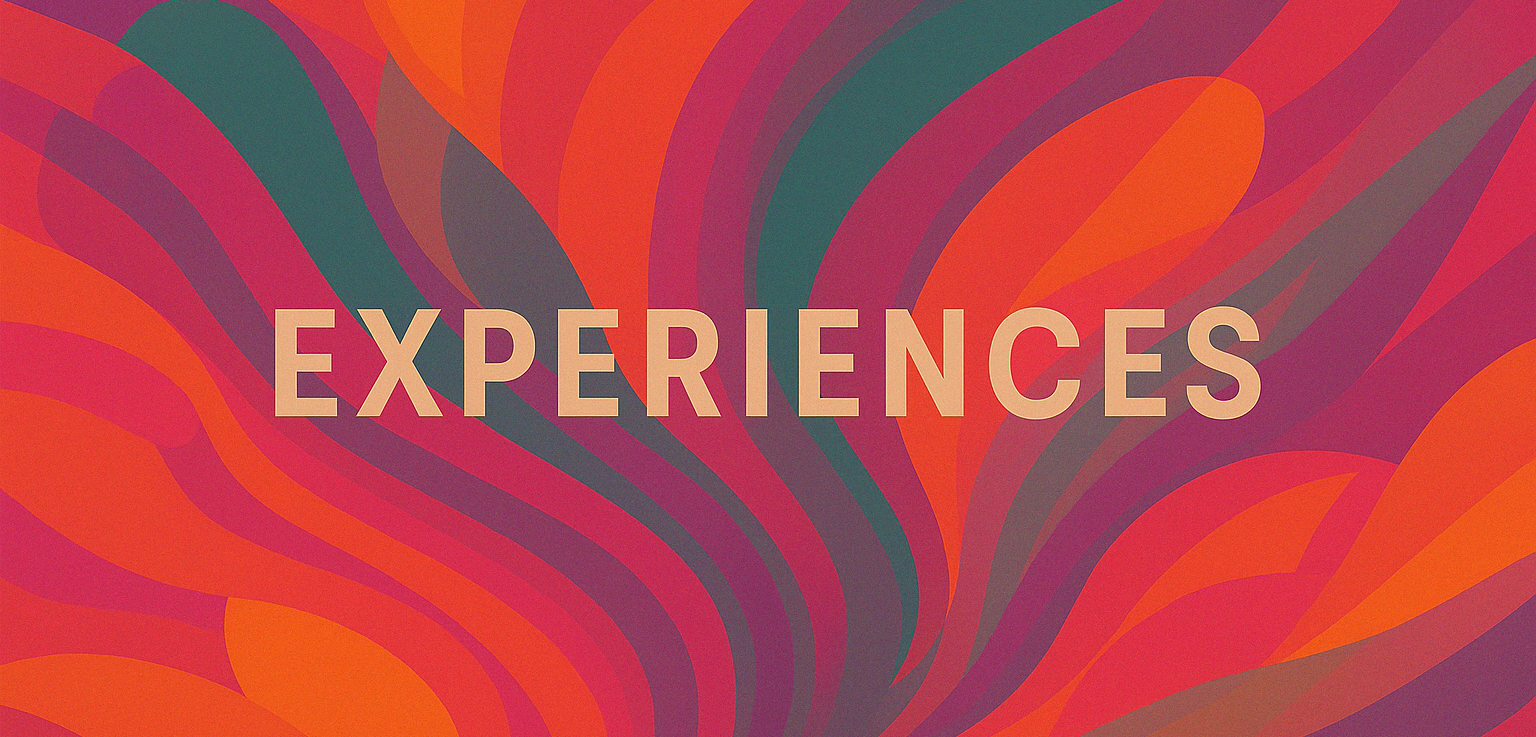 Work Experiences
