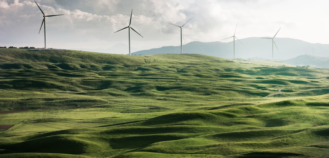 Sustainability & Social