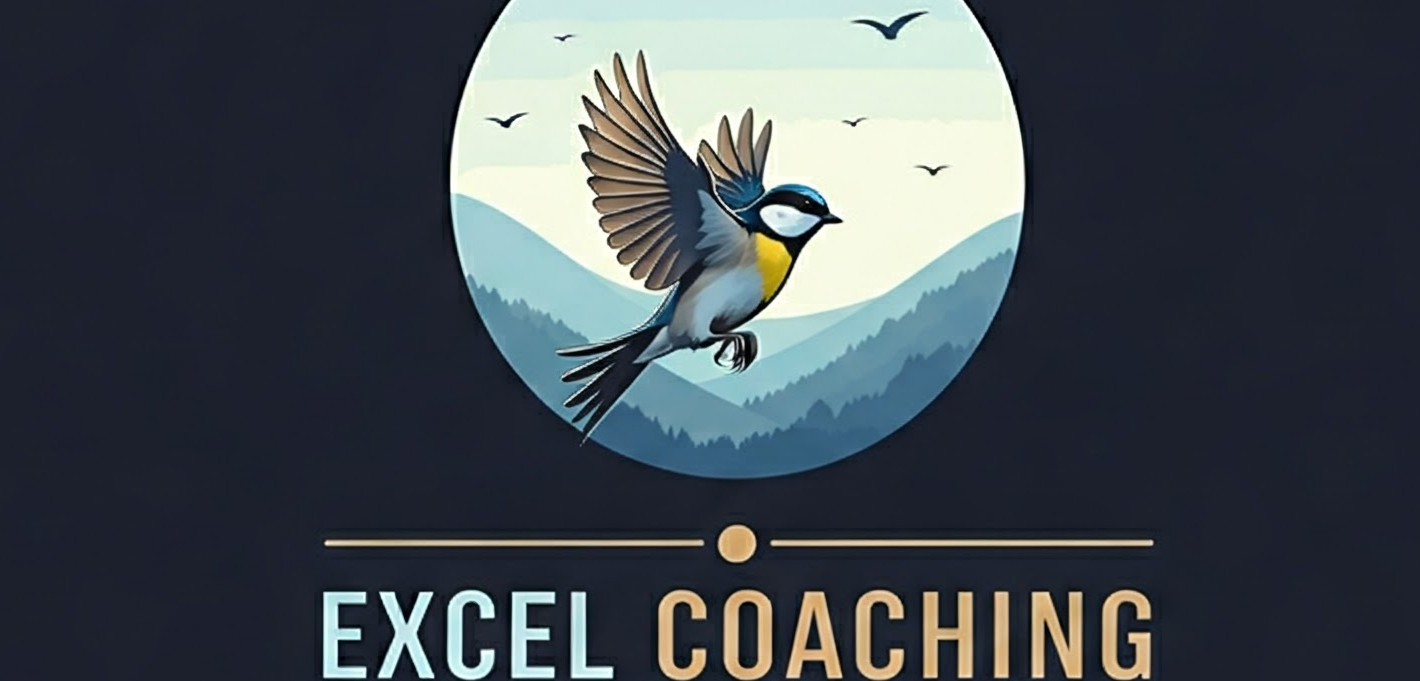 Career and Leadership Coaching