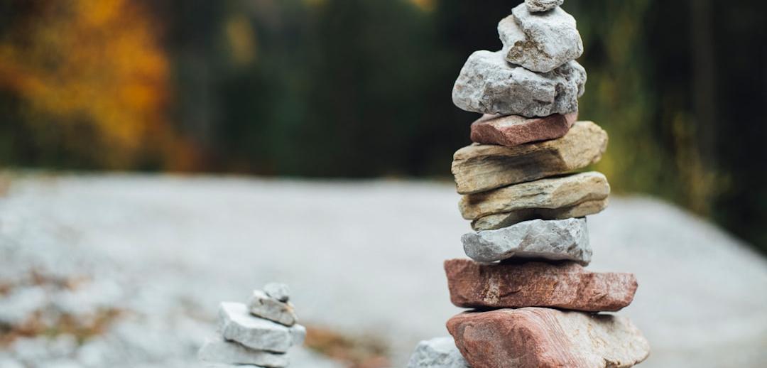 Strategy & Growth Consultant