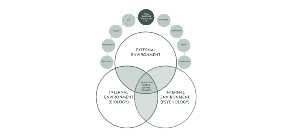 Wellness Interior Design & Lifestyle Consultant/ ENVIROHACKER